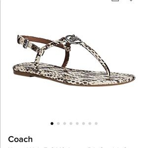 🆕Coach Jazmin snakeskin print neutral sandals